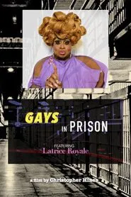 Poster do filme Gays in Prison