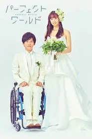 Poster da série Perfect World