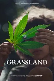 Grassland movie poster
