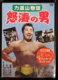 Poster do filme Rikidozan: Man of Fury