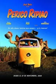 Poster do filme Perico Ripiao