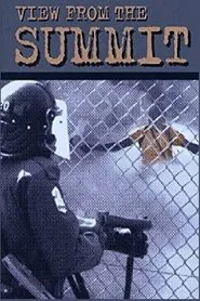 View from the Summit movie poster