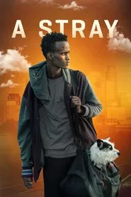 A Stray movie poster