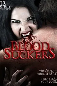 A Vampire's Tale movie poster