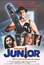 Poster do filme Junior