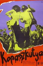 Bald Dog Rock movie poster