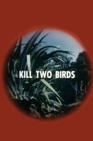 Kill Two Birds movie poster