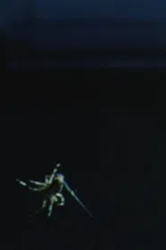 Poster do filme Arachnophilia