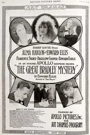 The Great Bradley Mystery movie poster
