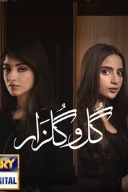 Gul-o-Gulzar tv show poster