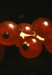 and so it came about (A Tale of Consequential Dormancy) movie poster