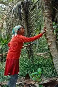 Palavra movie poster