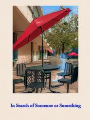 In Search of Someone or Something movie poster