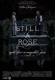 Still a Rose movie poster