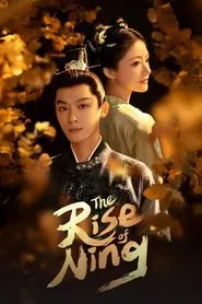 The Rise of Ning tv show poster