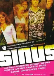 Sinus movie poster