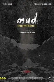Poster do filme Mud
