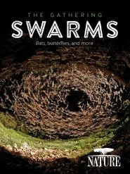Poster do filme The Gathering Swarms