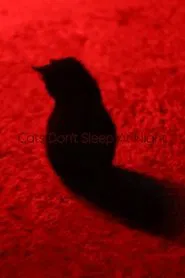 Cats Don't Sleep At Night movie poster