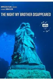 The Night My Brother Disappeared movie poster