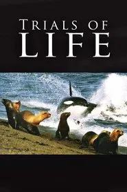 The Trials of Life movie poster
