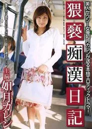 Chikan Diary Obscenity movie poster