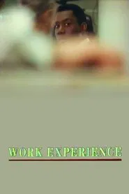 Work Experience movie poster