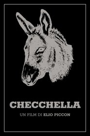 Checchella movie poster
