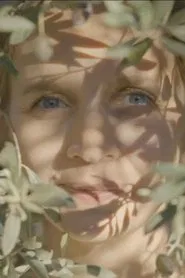 Poster do filme Zeytin