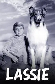 Lassie tv show poster