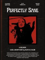 Perfectly Sane movie poster