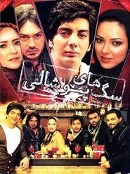 Poster do filme Saghaye Pooshali