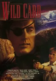 Poster do filme Wild Card
