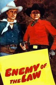 Enemy of the Law movie poster