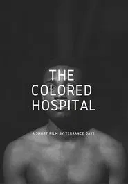 The Colored Hospital: A Visual Poem movie poster