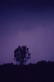 Parallax movie poster