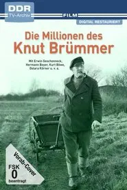 Poster do filme Die Millionen des Knut Brümmer
