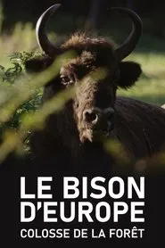 Le Bison d'Europe, colosse de la forêt movie poster