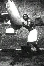 Meditations on Revolution Part IV: Greenville, MS movie poster