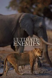 Ultimate Enemies: Revealed movie poster