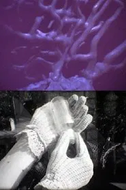 Poster do filme Her* Hands and His Forms