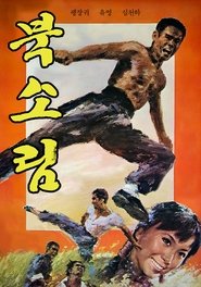 Tiger of Northland movie poster