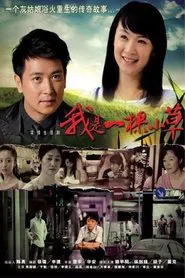 我是一棵小草 tv show poster