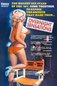 Overnight Sensation movie poster