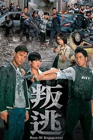 Ruse of Engagement tv show poster
