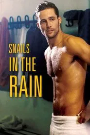 Snails in the Rain movie poster