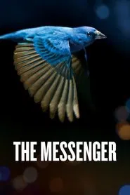 The Messenger movie poster