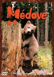 Méďové tv show poster