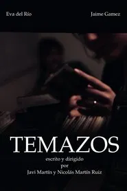 Temazos movie poster