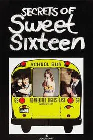 Secrets of Sweet Sixteen movie poster